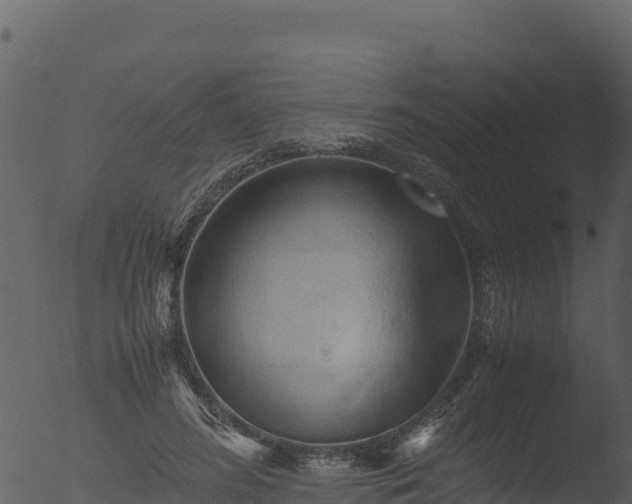 X0000053090596200507181721