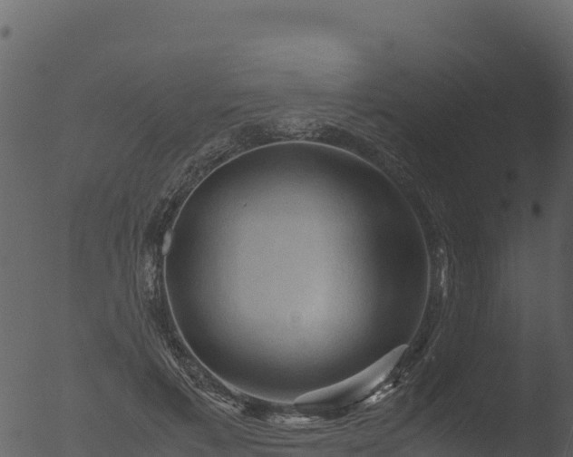 X0000053090597200507181721