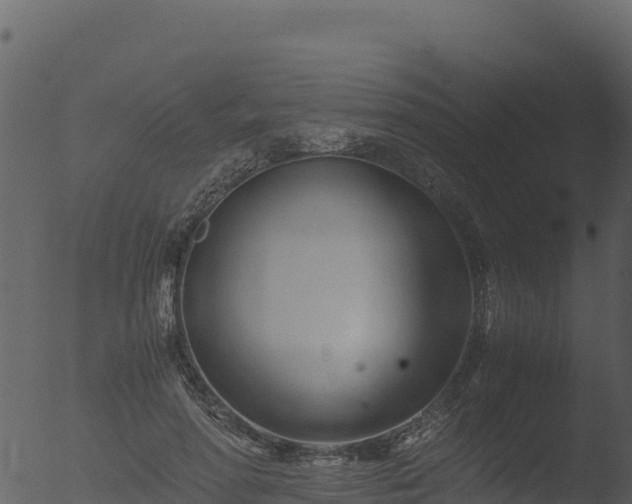 X0000053090598200507181721