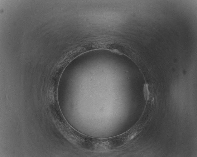 X0000053090599200507181721