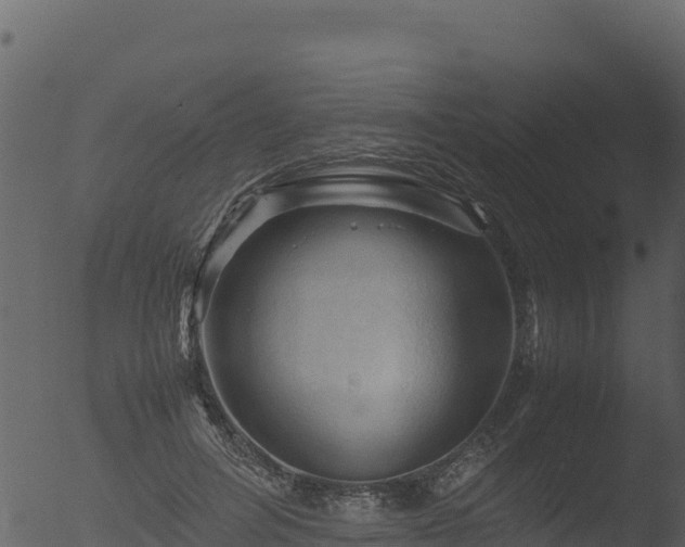 X0000053090600200507181721