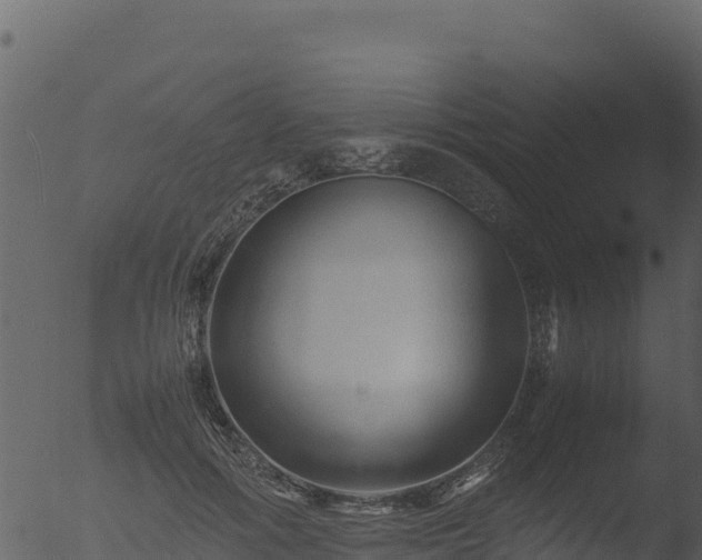 X0000053090602200507181721