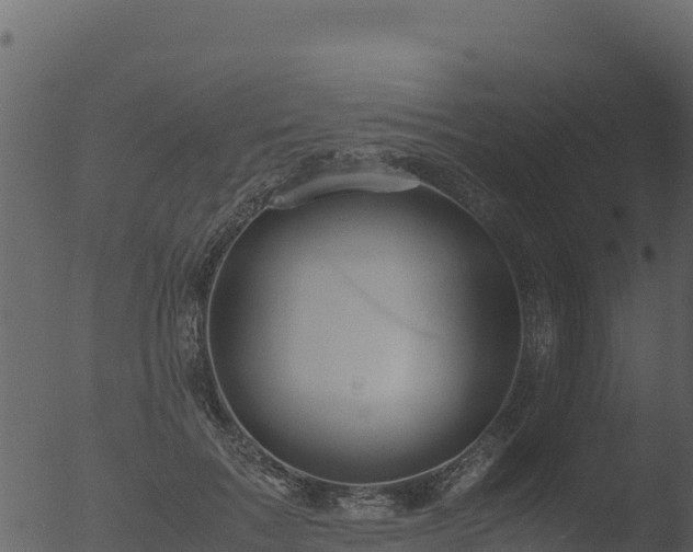 X0000053090603200507181721