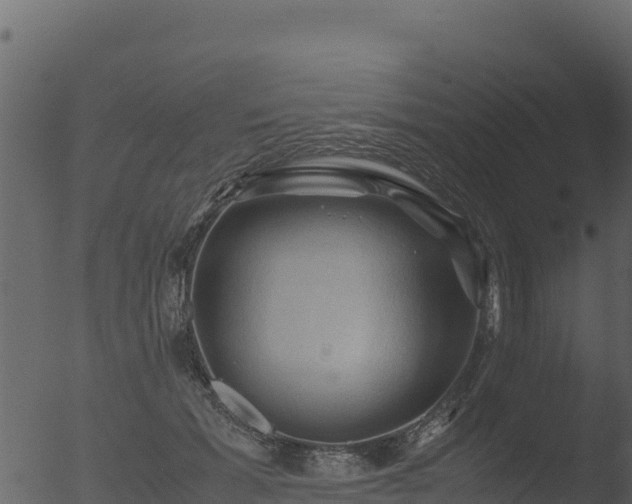 X0000053090605200507181720