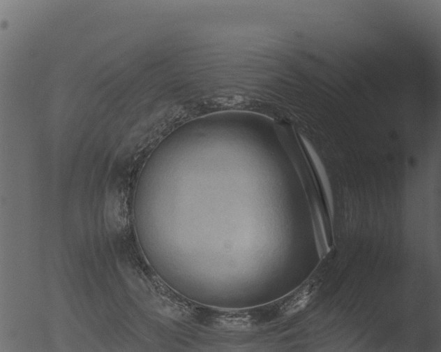 X0000053090606200507181720