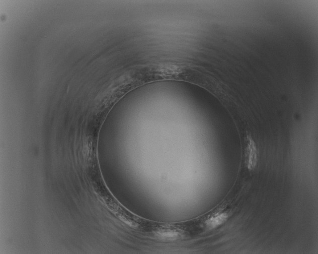 X0000053090608200507181720