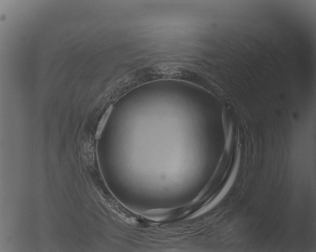 X0000053090609200507181720