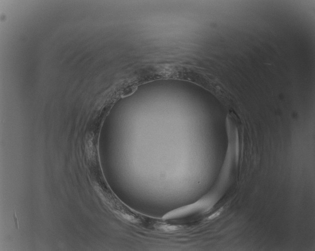 X0000053090611200507181720