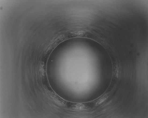 X0000053090612200507181720