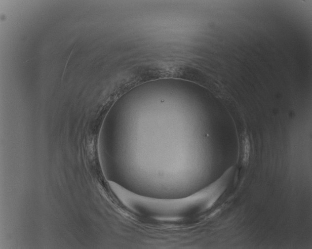 X0000053090613200507181720