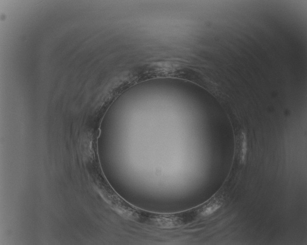 X0000053090615200507181720