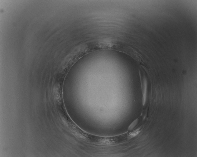 X0000053090616200507181720