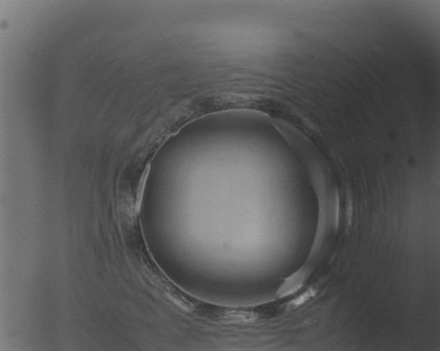 X0000053090617200507181720