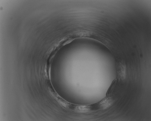 X0000053090622200507181720