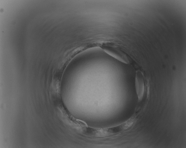 X0000053090623200507181720