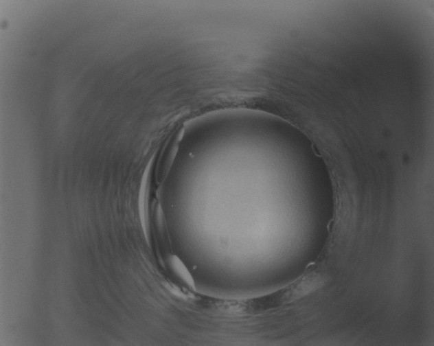 X0000053090624200507181720