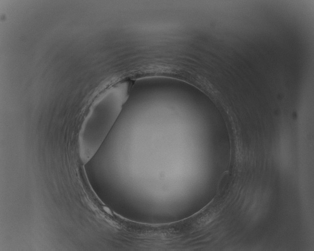 X0000053090625200507181719