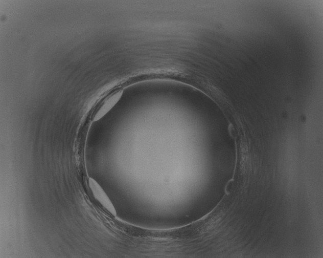 X0000053090628200507181719