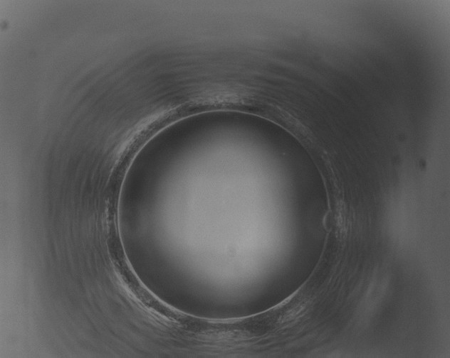 X0000053090629200507181719