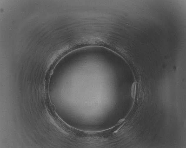 X0000053090630200507181719