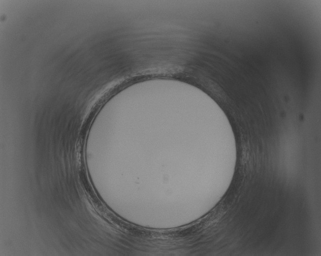 X0000053090632200507181719