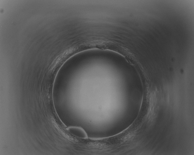 X0000053090633200507181719