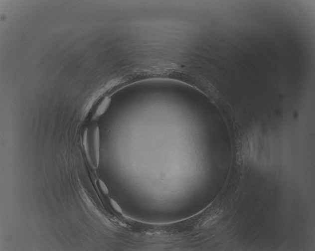 X0000053090634200507181719