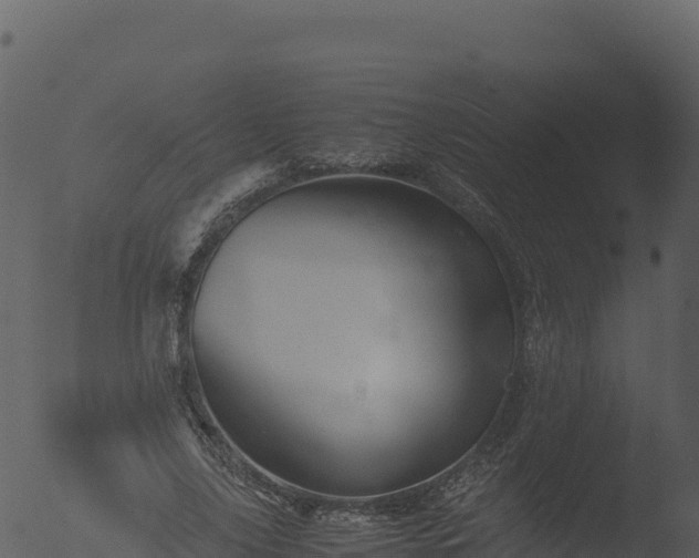 X0000053090635200507181720