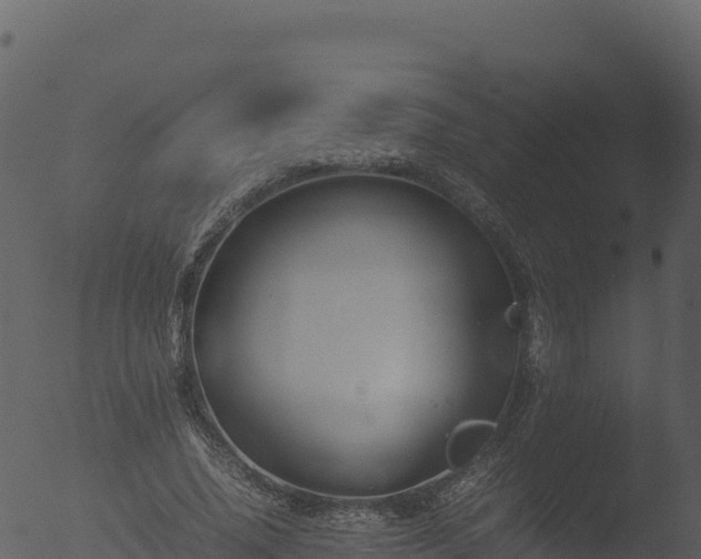 X0000053090636200507181720