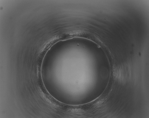 X0000053090637200507181720