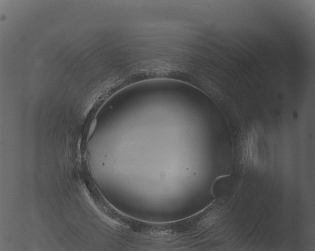 X0000053090638200507181720