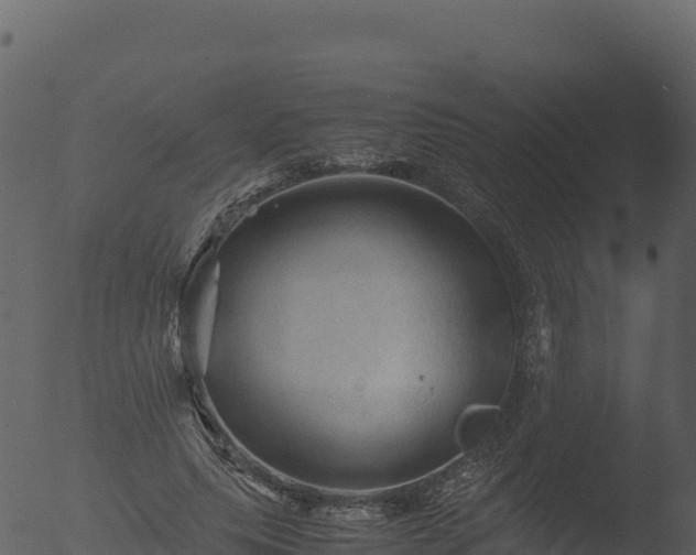 X0000053090639200507181720