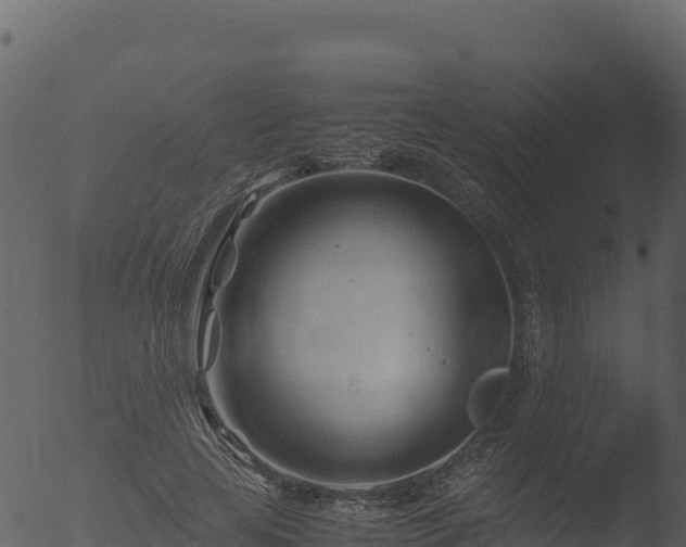 X0000053090641200507181720