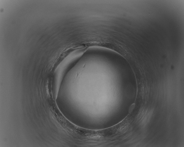 X0000053090643200507181720