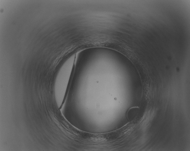 X0000053090644200507181720