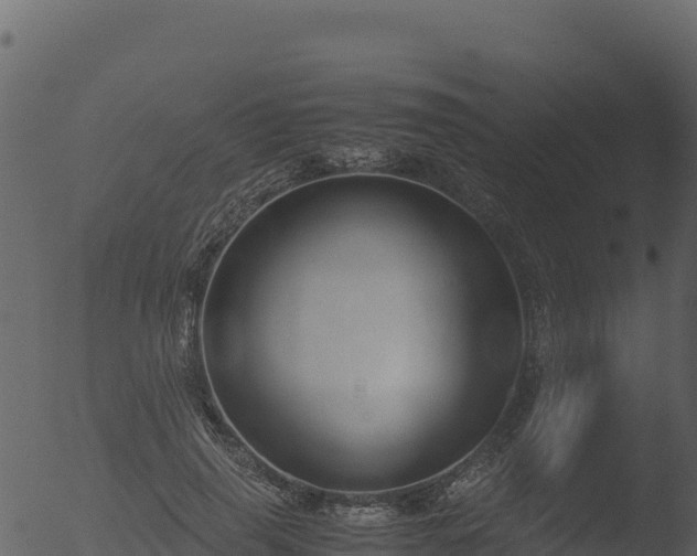 X0000053090645200507181720