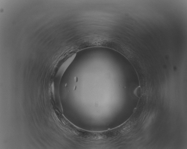 X0000053090646200507181720