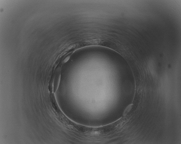 X0000053090647200507181720