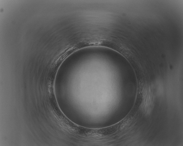 X0000053090648200507181720