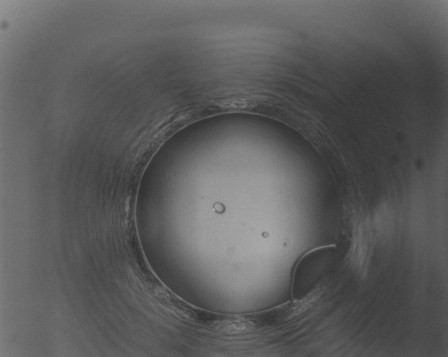 X0000053090652200507181720