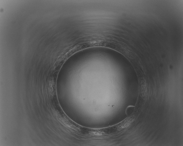 X0000053090654200507181720