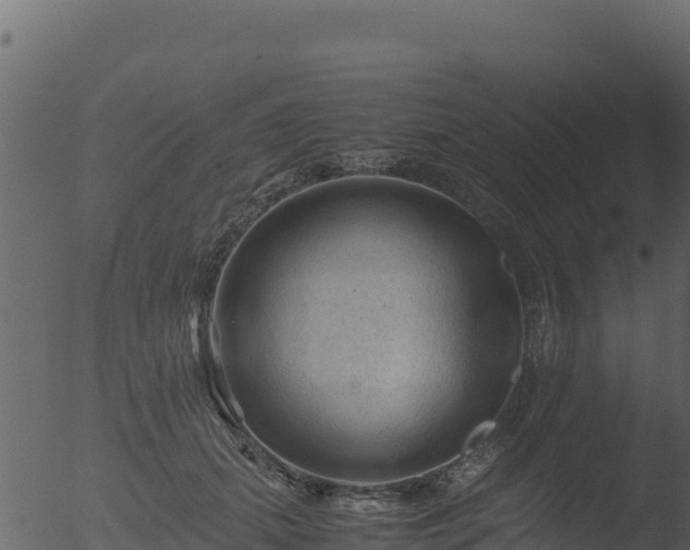 X0000053090655200507181720