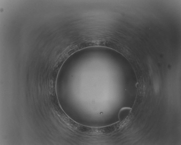 X0000053090656200507181720