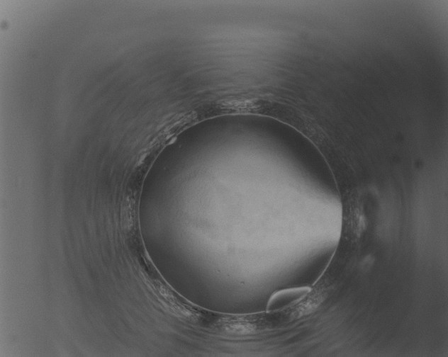 X0000053090658200507181720