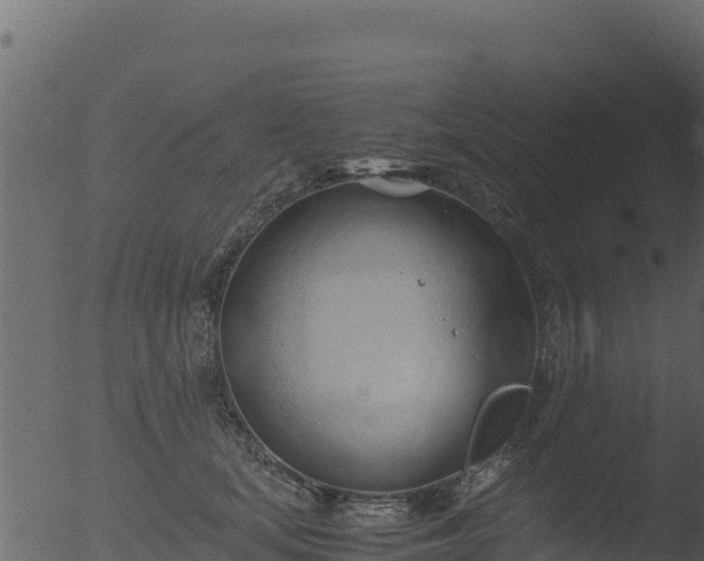 X0000053090659200507181720