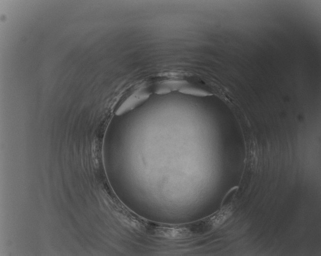 X0000053090663200507181720