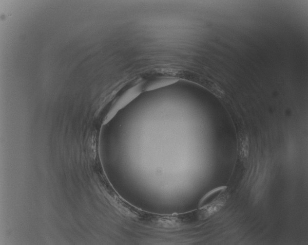 X0000053090666200507181720