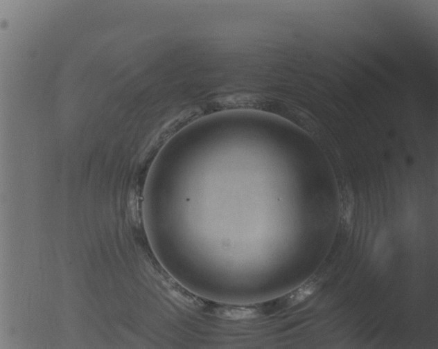 X0000053090669200507181720