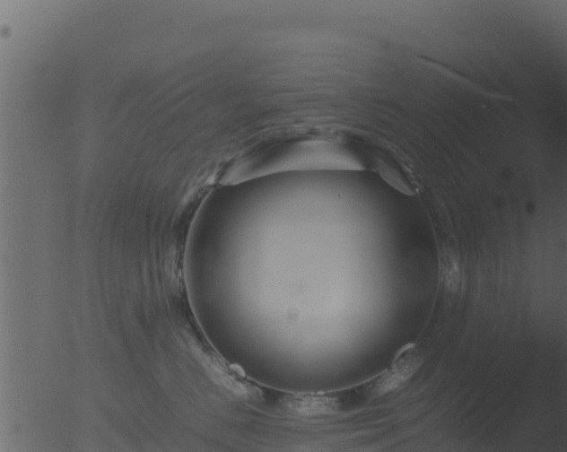 X0000053090670200507181720