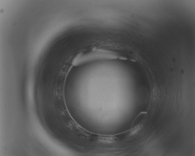 X0000053090671200507181720